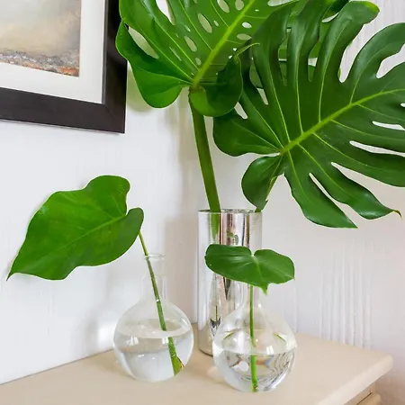 Appartement Casa Doce - Pueblo Blanco *