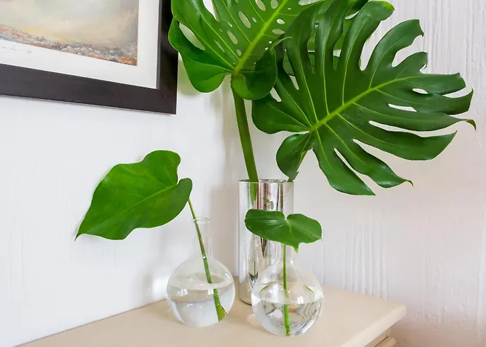 Apartment Casa Doce - Pueblo Blanco *